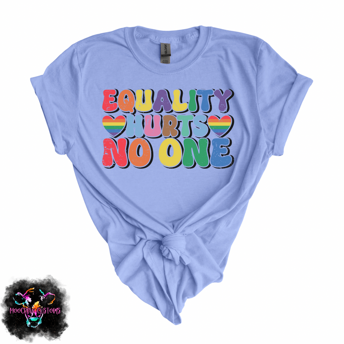 Equality Hurts No One Tshirt