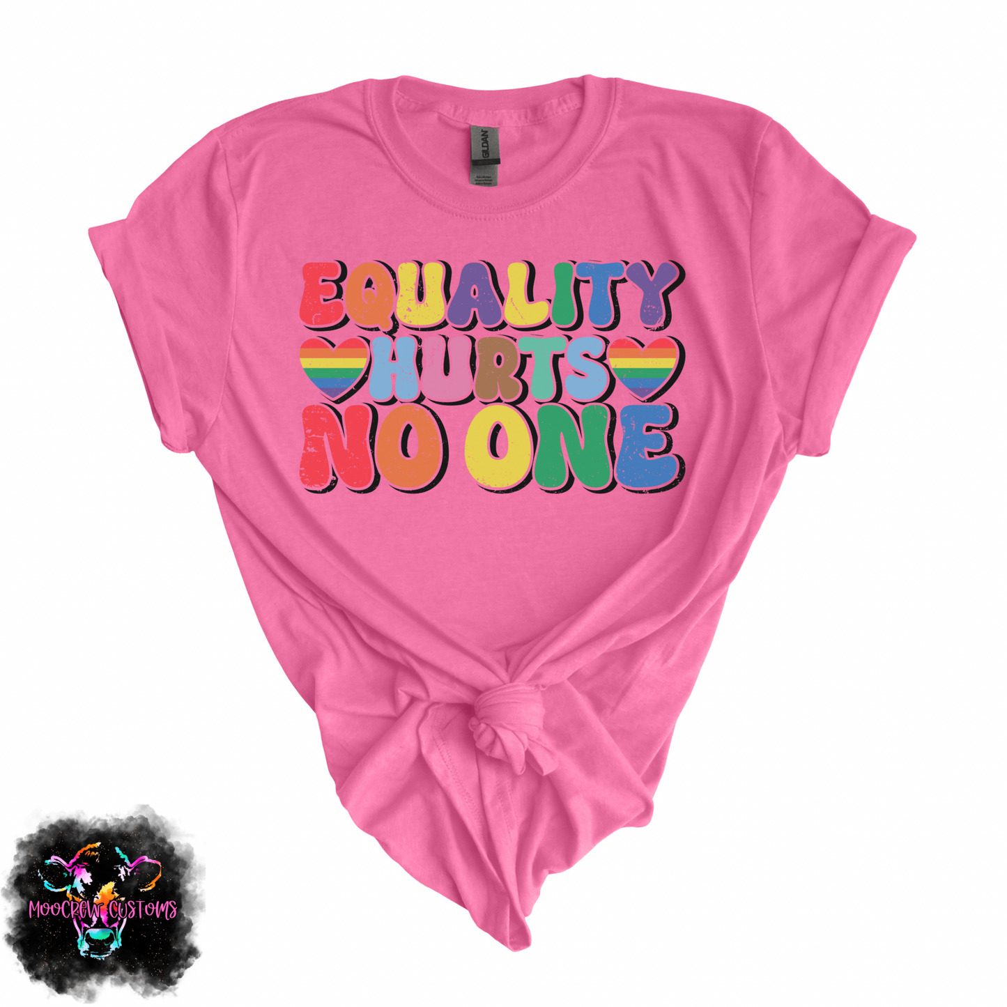 Equality Hurts No One Tshirt
