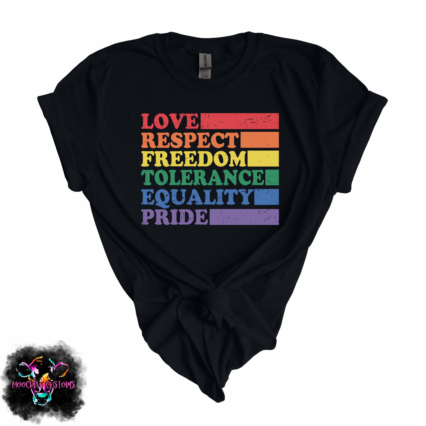 Love Respect Freedom Tolerance Equality Pride  Tshirt