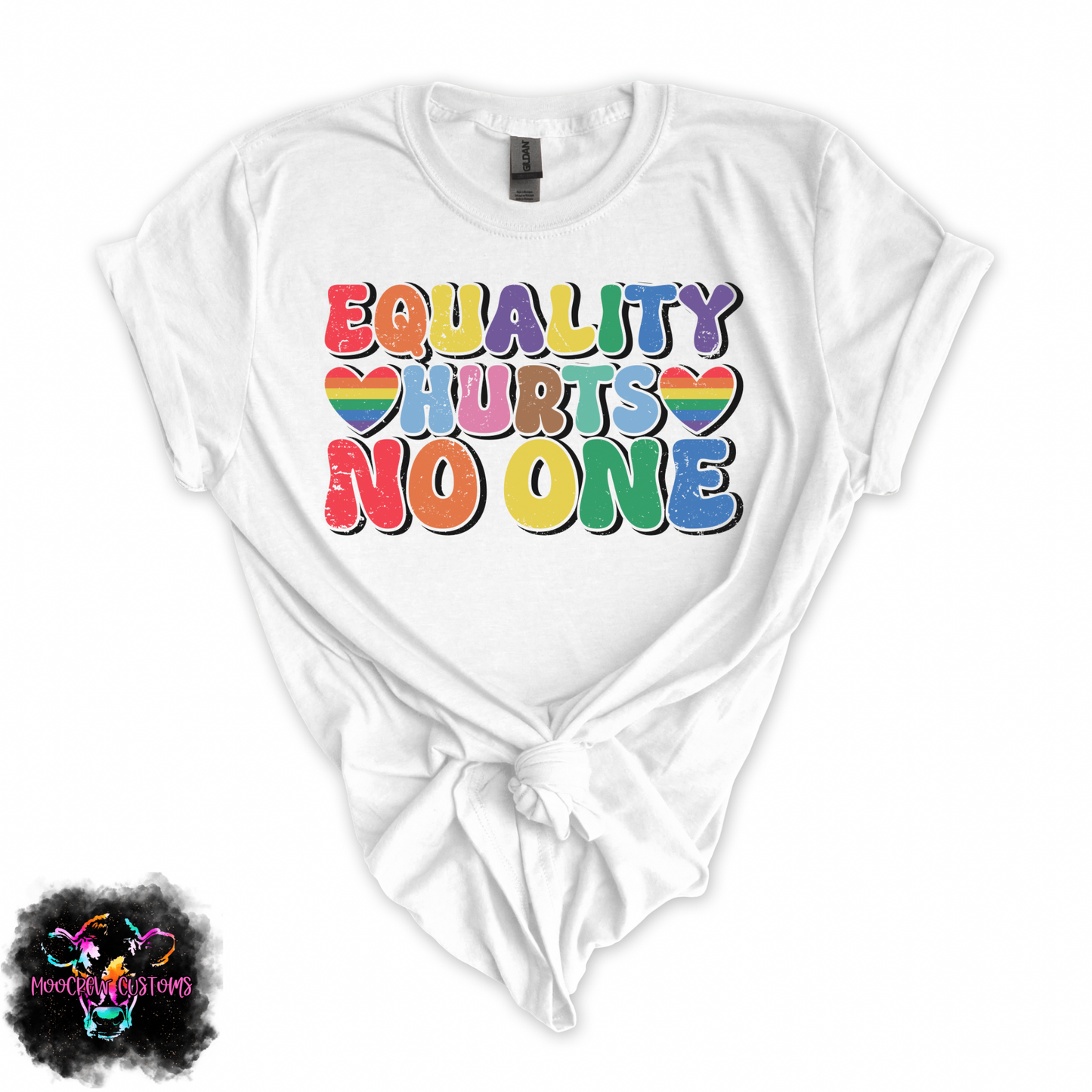 Equality Hurts No One Tshirt