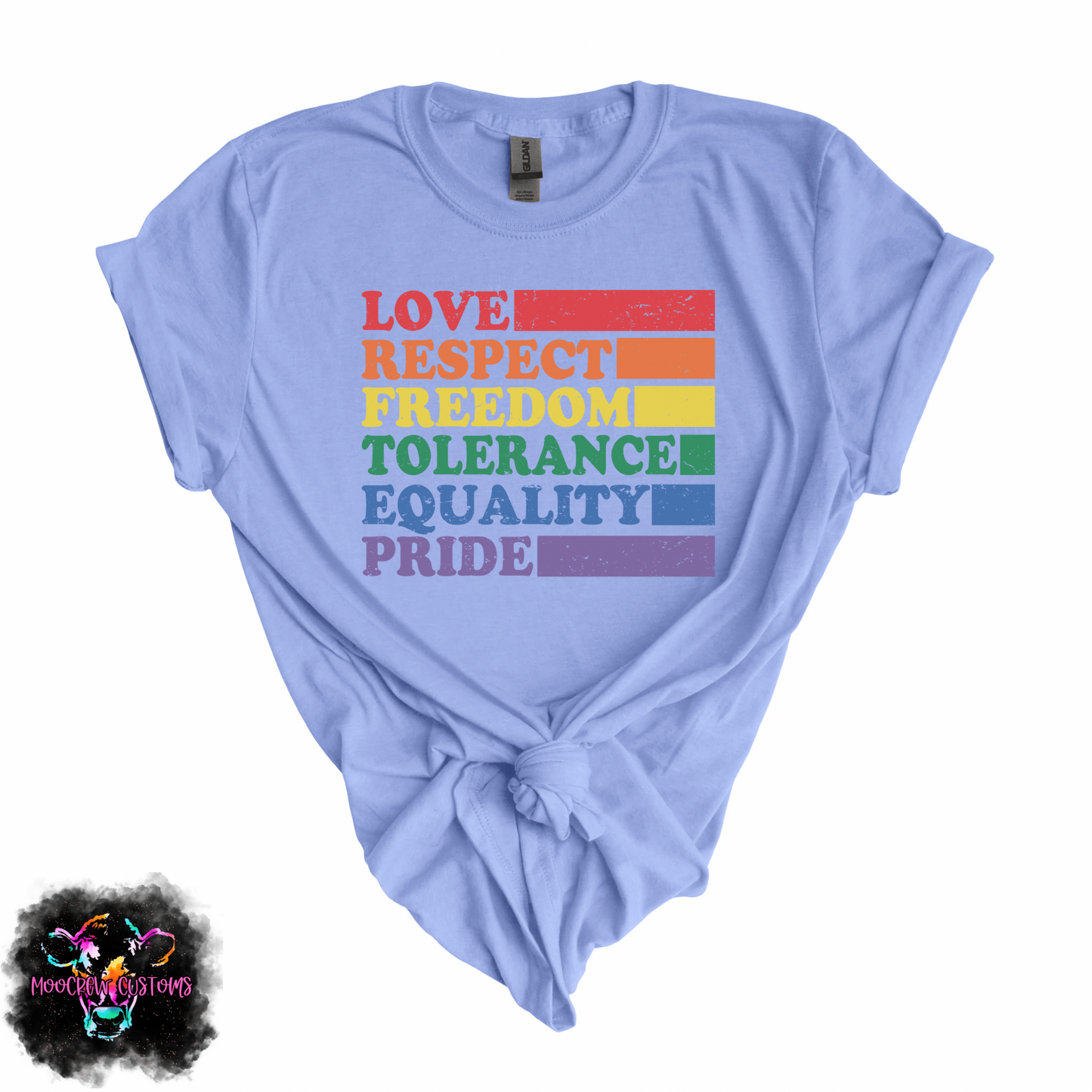 Love Respect Freedom Tolerance Equality Pride  Tshirt